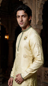 A man wearing a pale yellow embroidered kurta with green trim, standing in front of a dark, ornate architectural background.